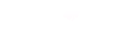 やさしいお墓参りサービス