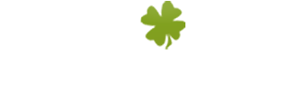 やさしいお墓参りサービス